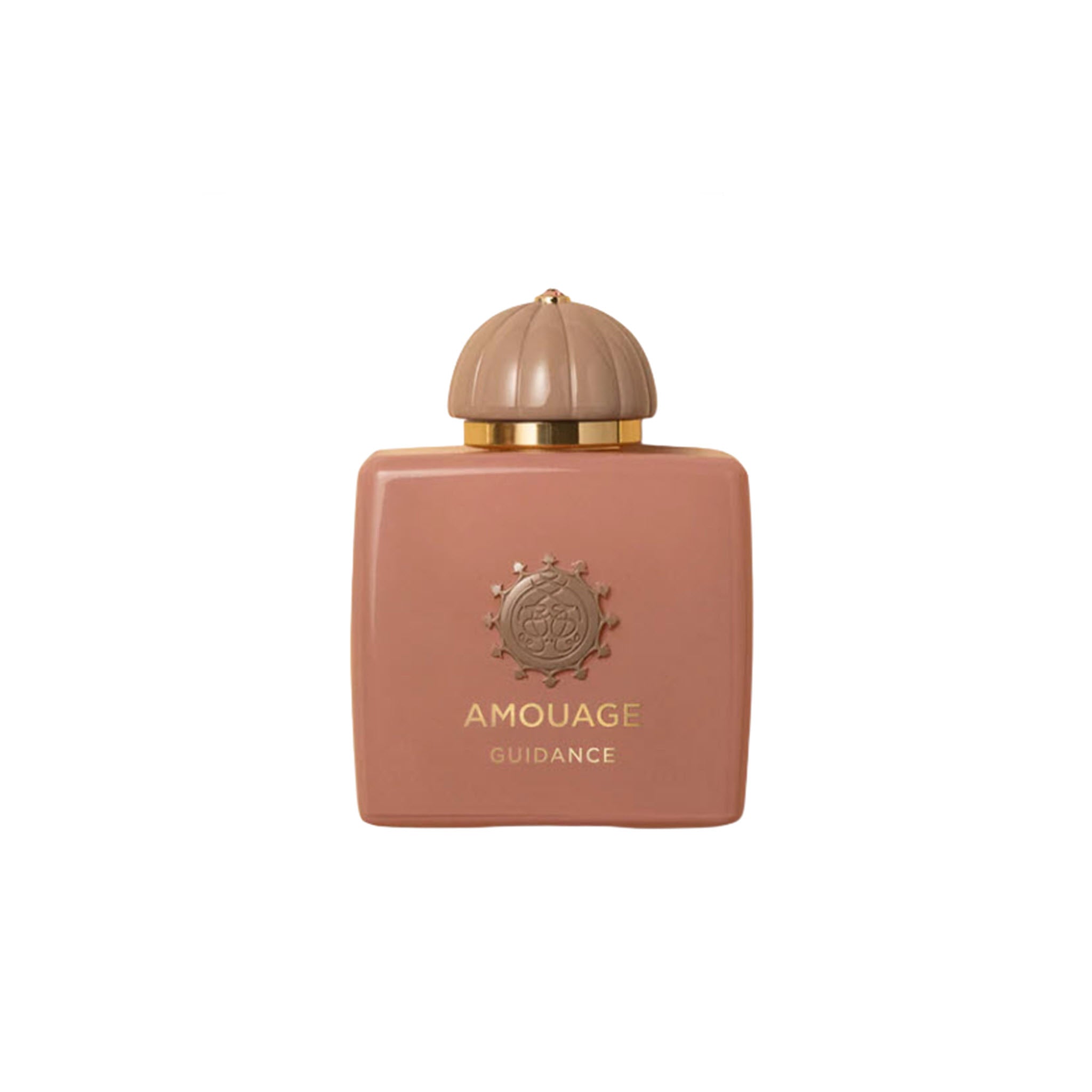 Amouage Guidance